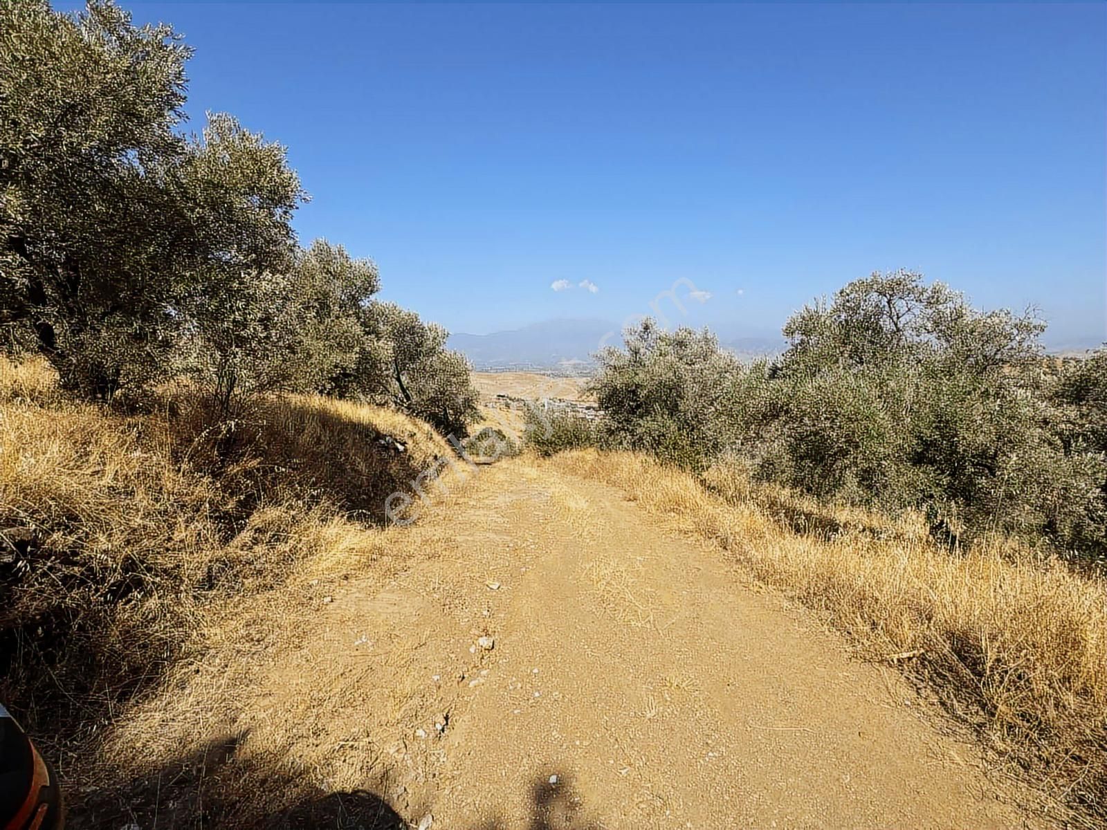 İzmir Ödemiş Bozcayaka 600 M2 Tek Tapu Köye Yakın Ulaşımı Olan - Görsel 3