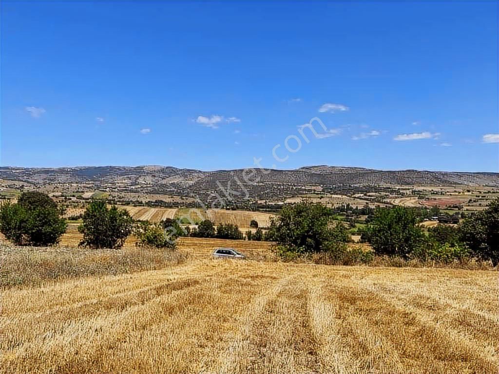 Zile Güvenevler( Yunusemre) Tek Tapu 30.500 M2 Üniversite Arkası - Görsel 2