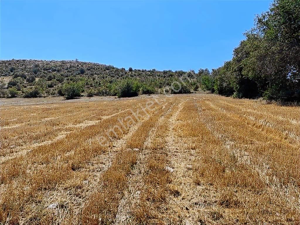 Zile Güvenevler( Yunusemre) Tek Tapu 30.500 M2 Üniversite Arkası - Görsel 6