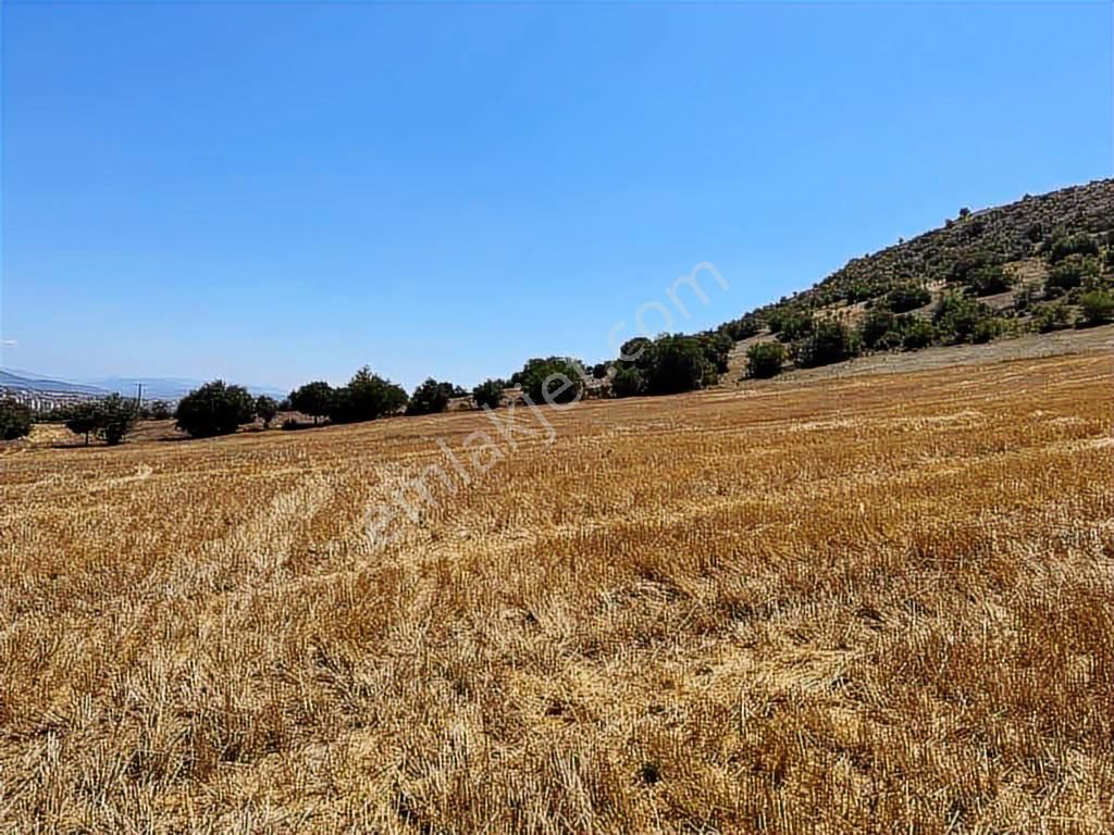 Zile Güvenevler( Yunusemre) Tek Tapu 30.500 M2 Üniversite Arkası - Görsel 4
