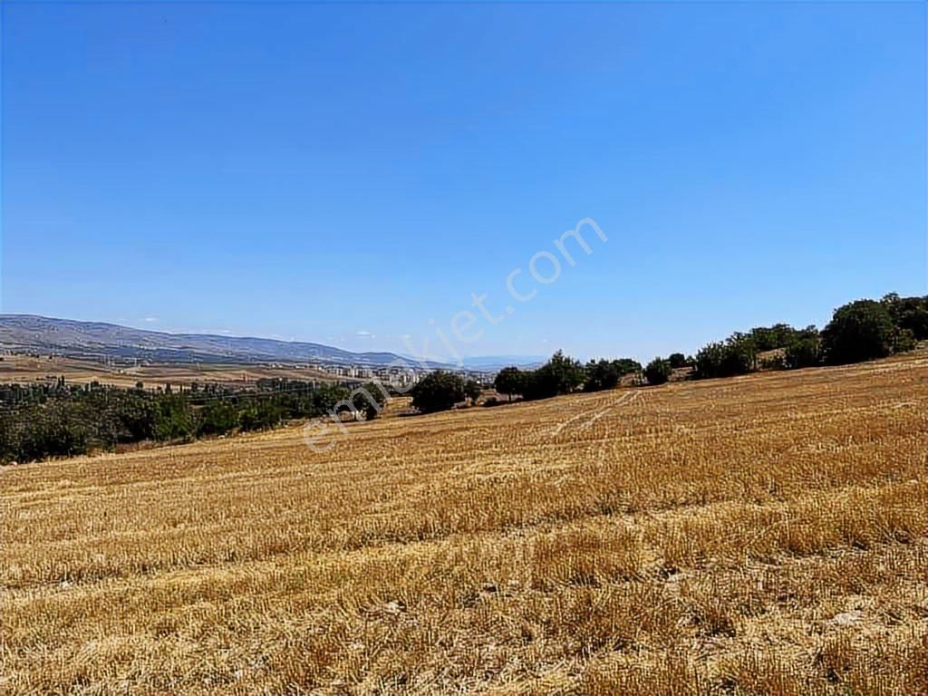 Zile Güvenevler( Yunusemre) Tek Tapu 30.500 M2 Üniversite Arkası - Görsel 8