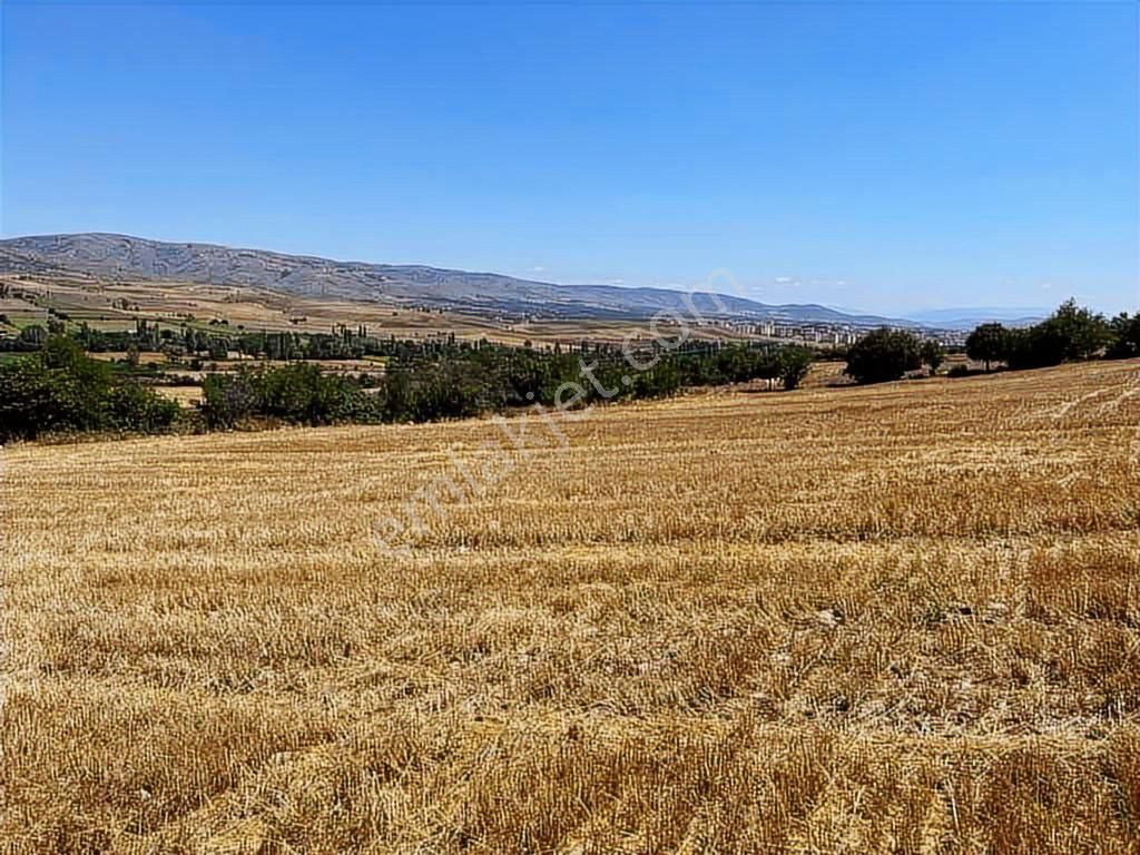 Zile Güvenevler( Yunusemre) Tek Tapu 30.500 M2 Üniversite Arkası - Görsel 16