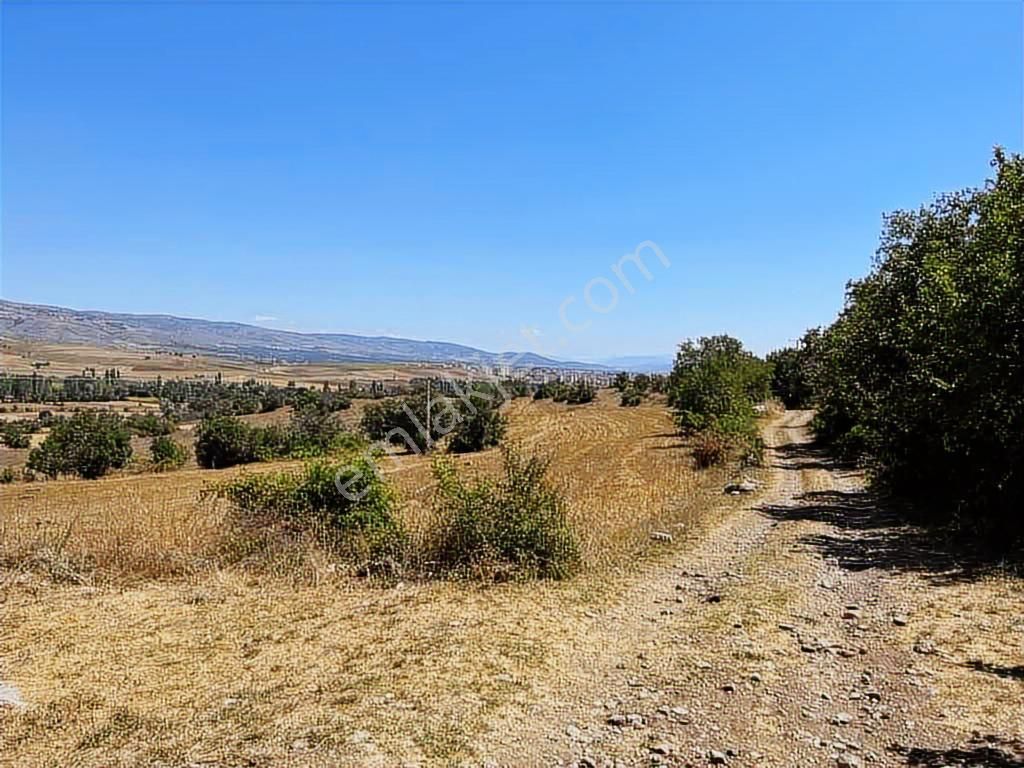 Zile Güvenevler( Yunusemre) Tek Tapu 30.500 M2 Üniversite Arkası - Görsel 17