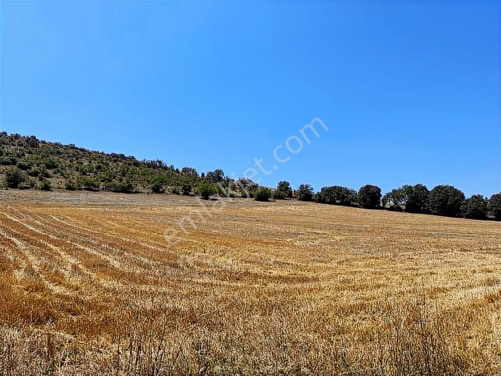 Zile Güvenevler( Yunusemre) Tek Tapu 30.500 M2 Üniversite Arkası - Görsel 10