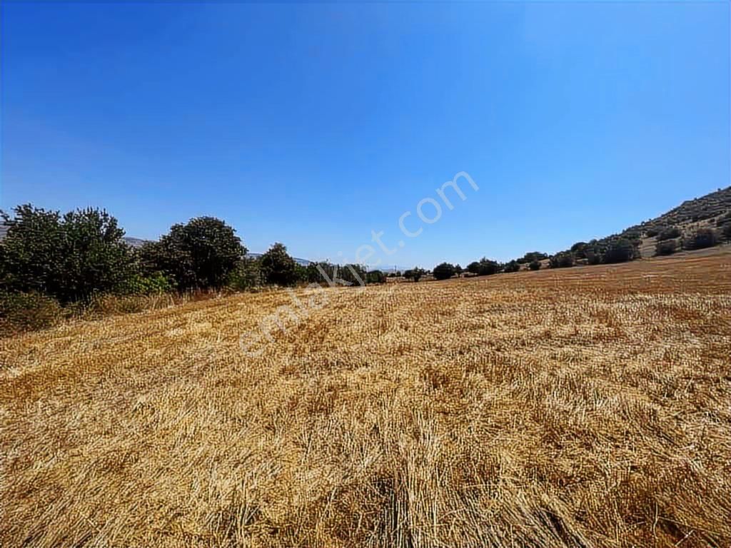 Zile Güvenevler( Yunusemre) Tek Tapu 30.500 M2 Üniversite Arkası - Görsel 22