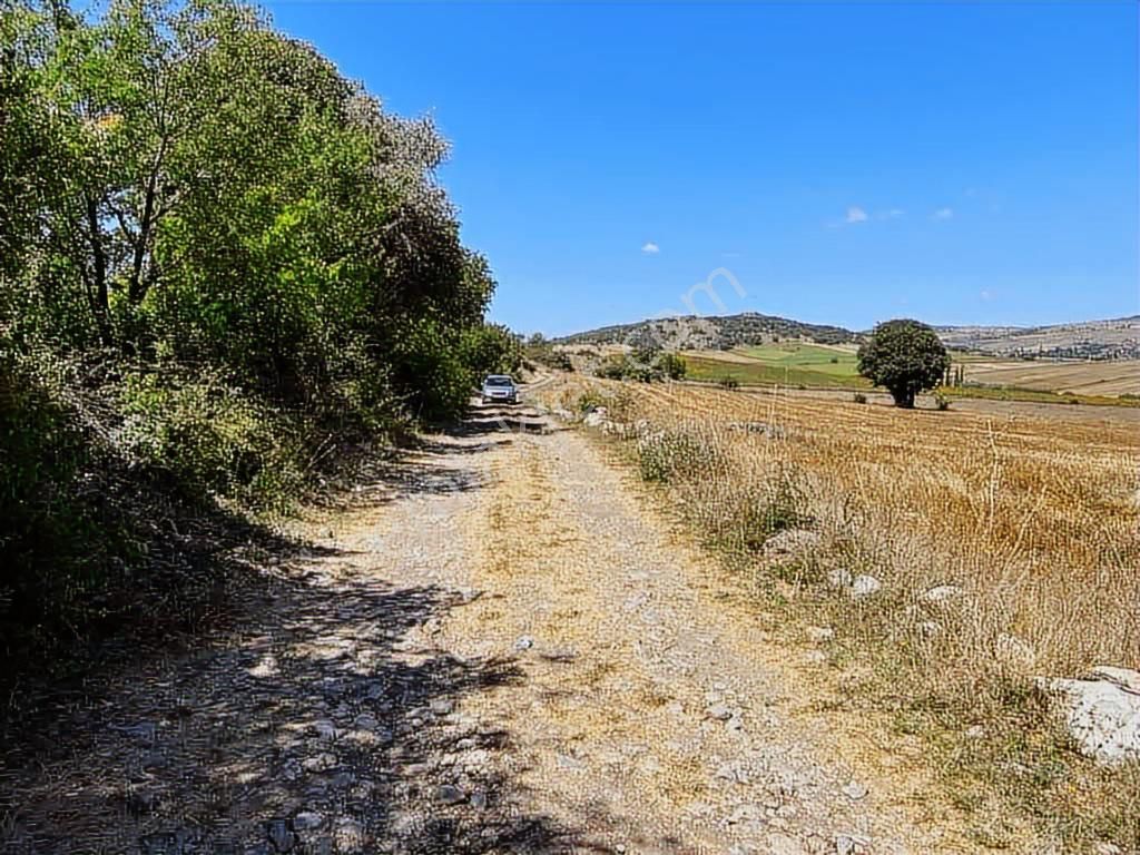 Zile Güvenevler( Yunusemre) Tek Tapu 30.500 M2 Üniversite Arkası - Görsel 5