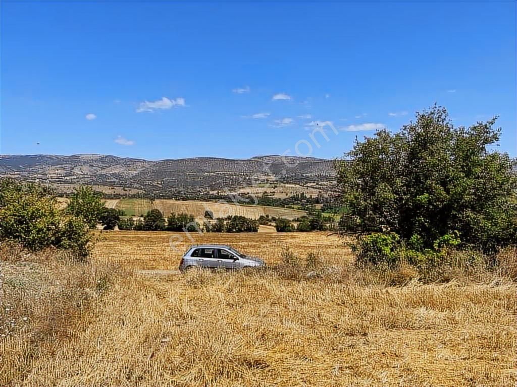 Zile Güvenevler( Yunusemre) Tek Tapu 30.500 M2 Üniversite Arkası - Görsel 13