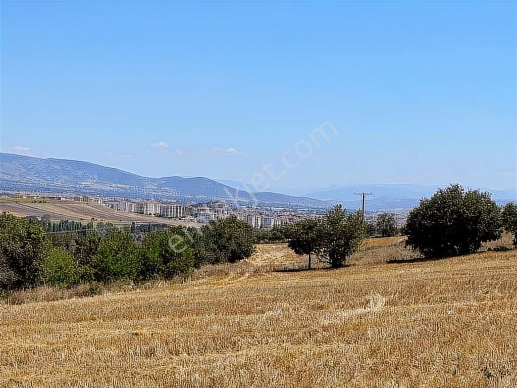 Zile Güvenevler( Yunusemre) Tek Tapu 30.500 M2 Üniversite Arkası - Görsel 11