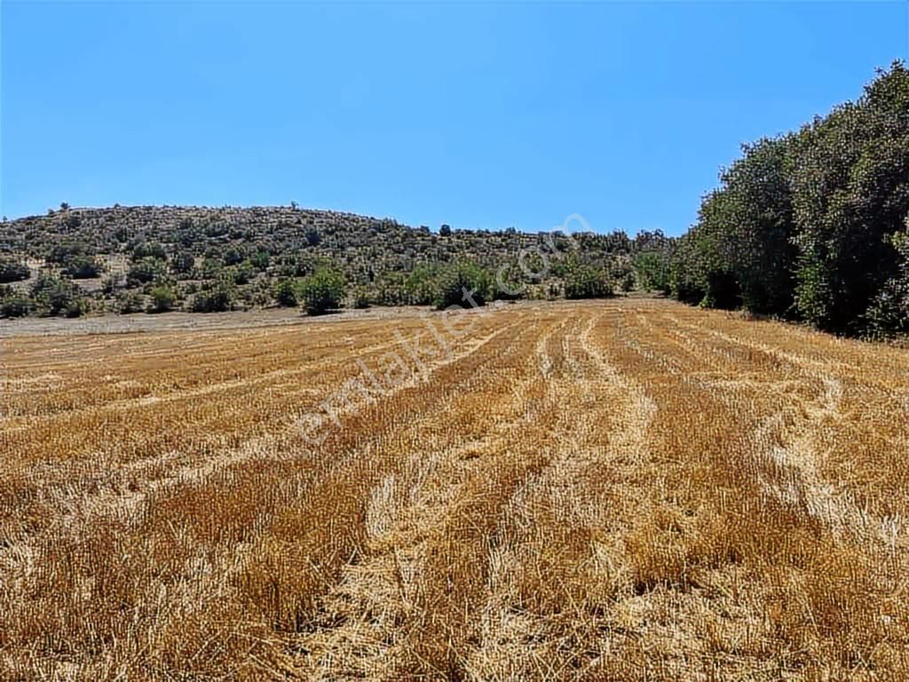 Zile Güvenevler( Yunusemre) Tek Tapu 30.500 M2 Üniversite Arkası - Görsel 19