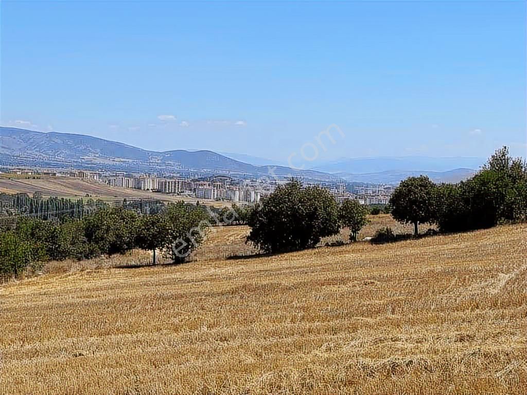 Zile Güvenevler( Yunusemre) Tek Tapu 30.500 M2 Üniversite Arkası