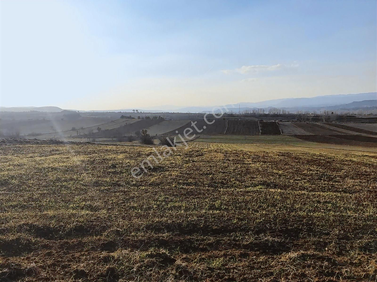 Kastamonu Merkez Gölköy Yola Cephe 4.786 M2 Tek Tapu Değerli - Görsel 30