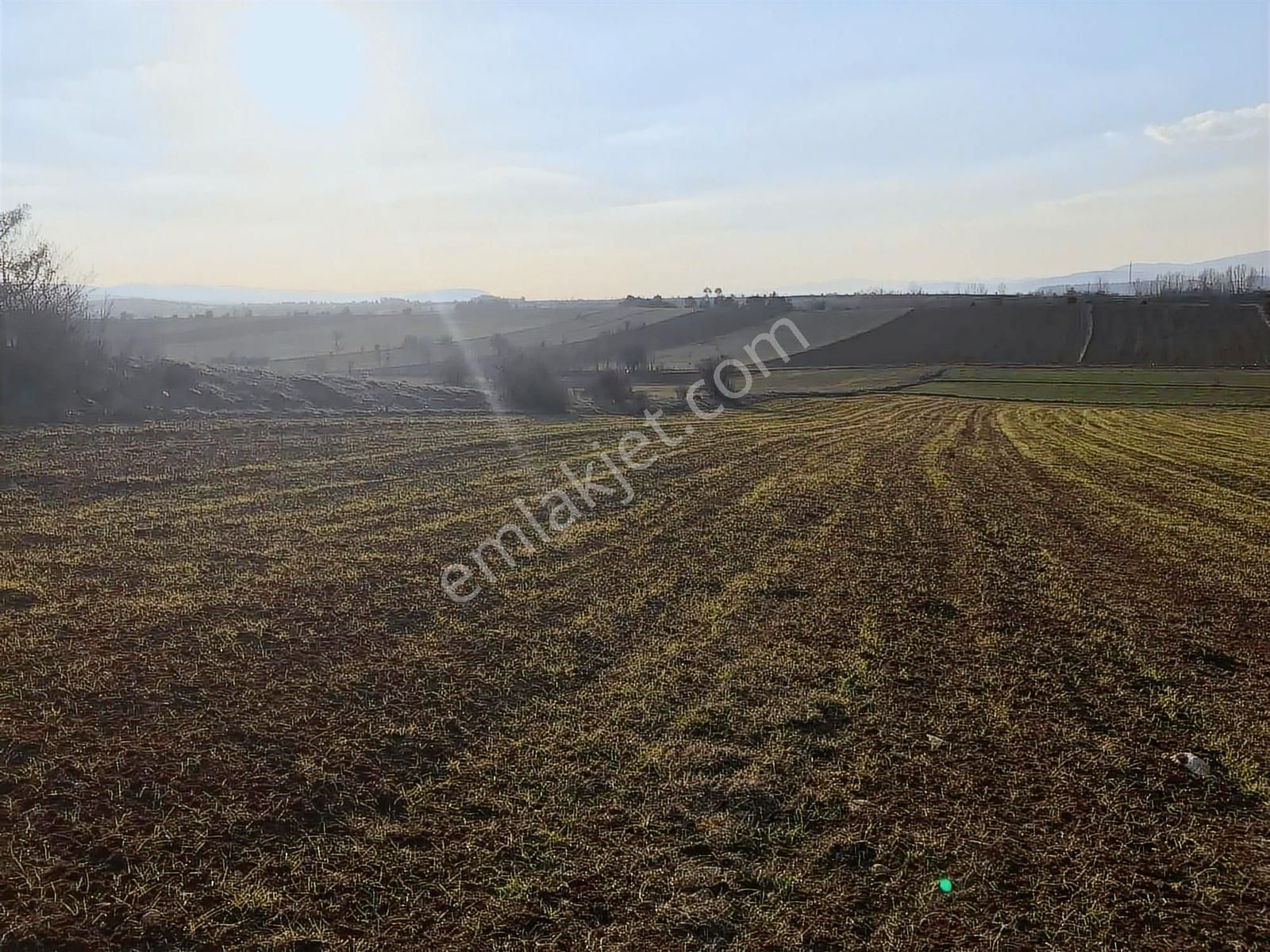 Kastamonu Merkez Gölköy Yola Cephe 4.786 M2 Tek Tapu Değerli - Görsel 23