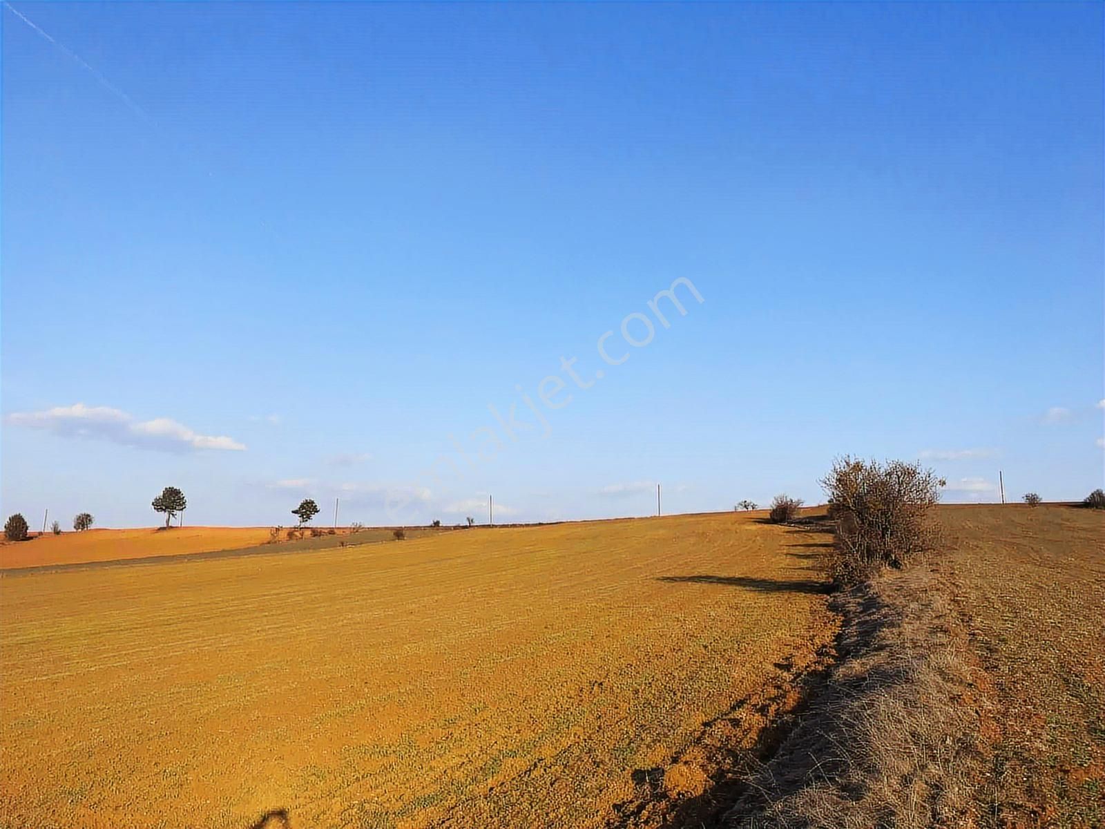 Kastamonu Merkez Gölköy Yola Cephe 4.786 M2 Tek Tapu Değerli - Görsel 29