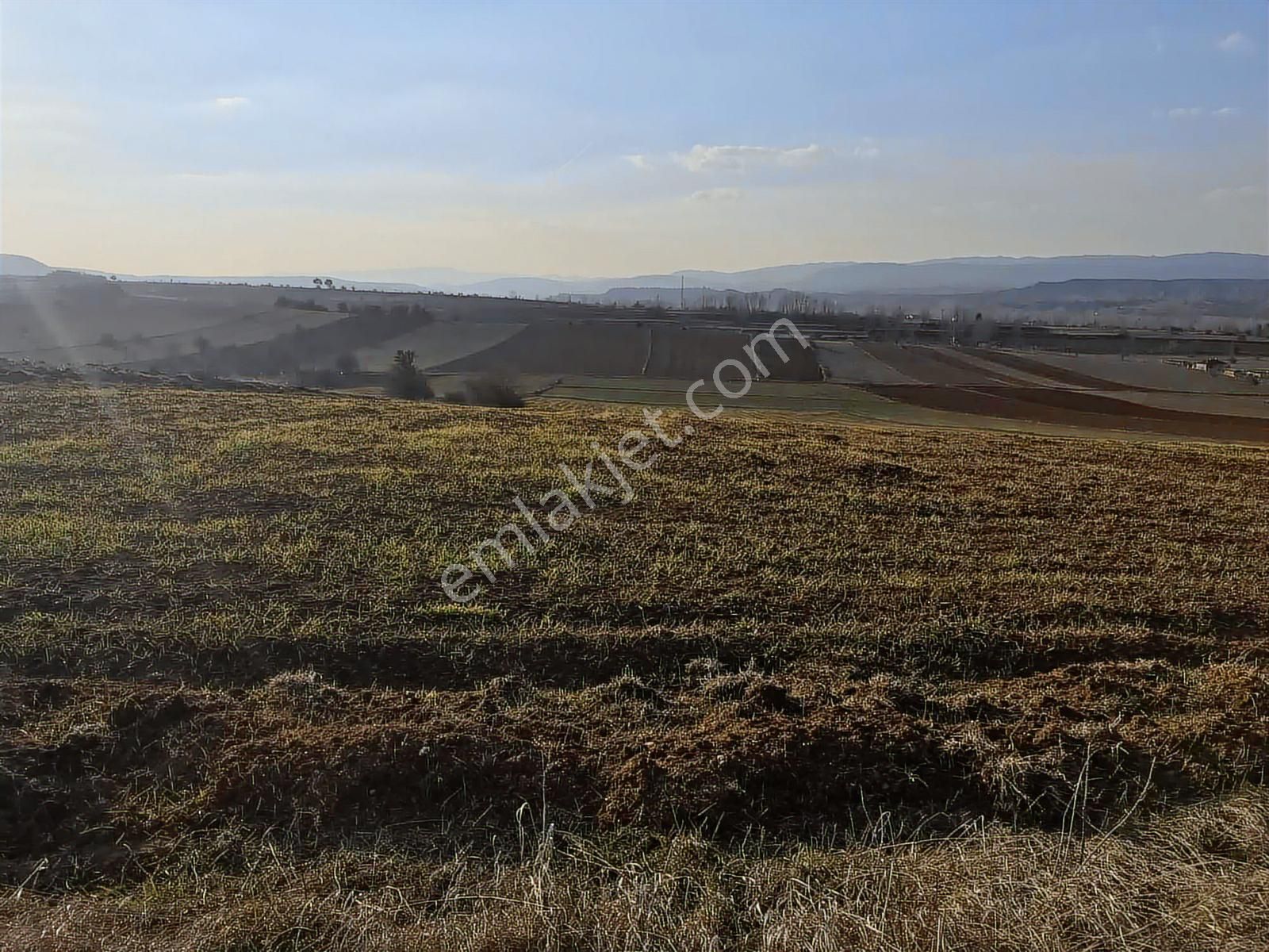 Kastamonu Merkez Gölköy Yola Cephe 4.786 M2 Tek Tapu Değerli - Görsel 28