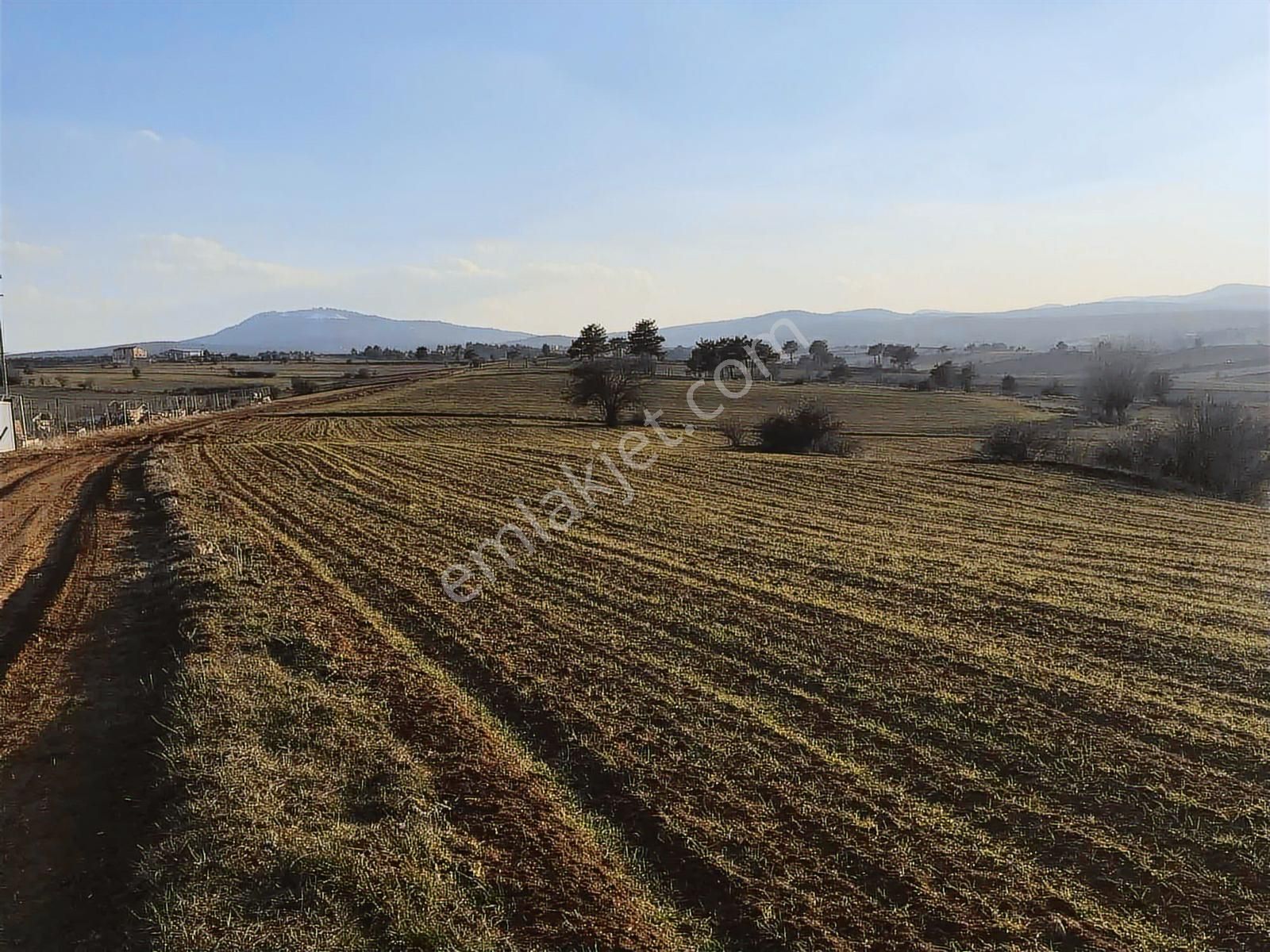 Kastamonu Merkez Gölköy Yola Cephe 4.786 M2 Tek Tapu Değerli - Görsel 7