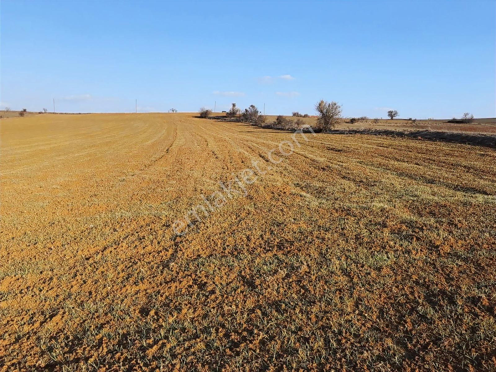 Kastamonu Merkez Gölköy Yola Cephe 4.786 M2 Tek Tapu Değerli - Görsel 24