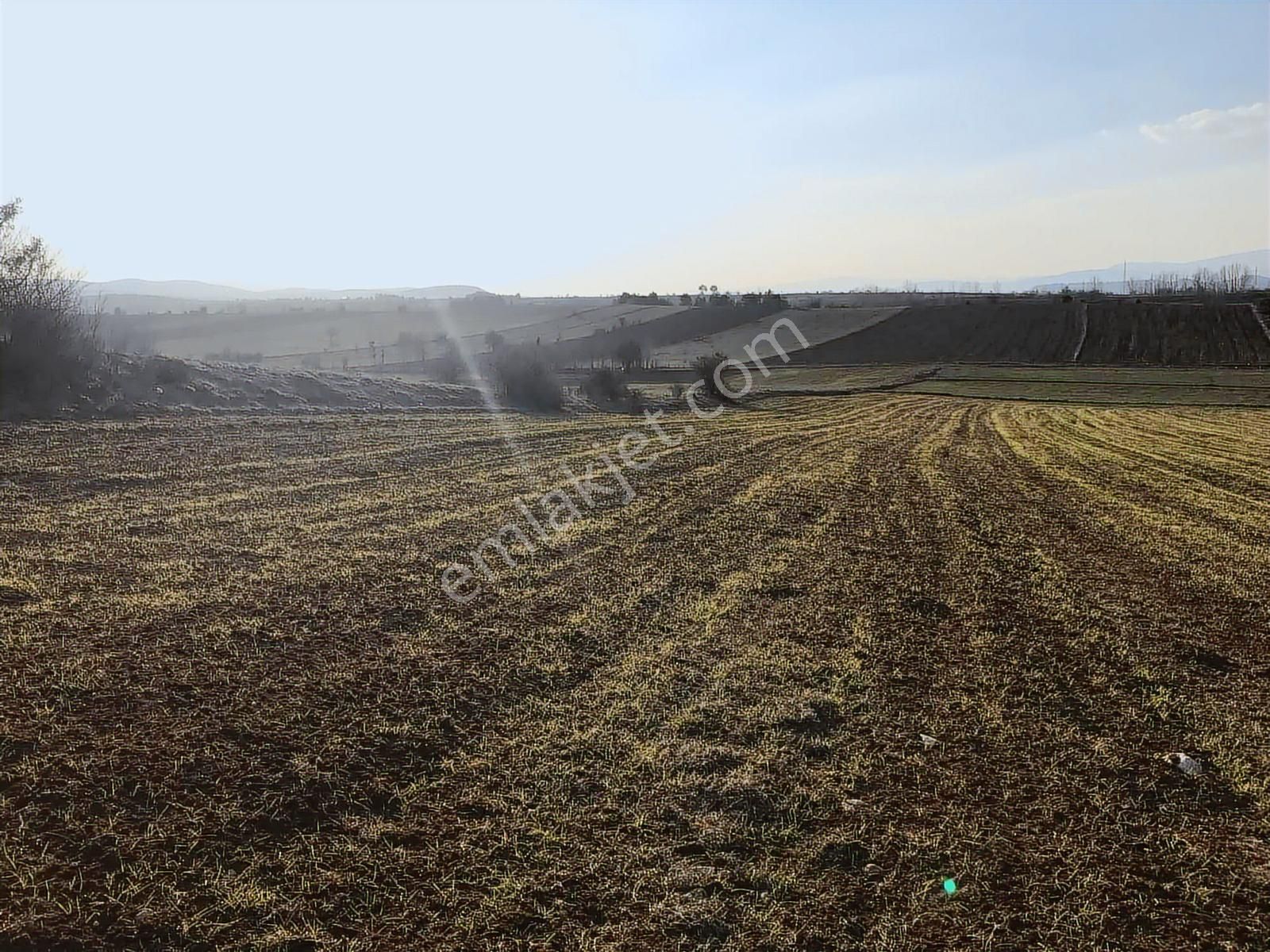 Kastamonu Merkez Gölköy Yola Cephe 4.786 M2 Tek Tapu Değerli - Görsel 11