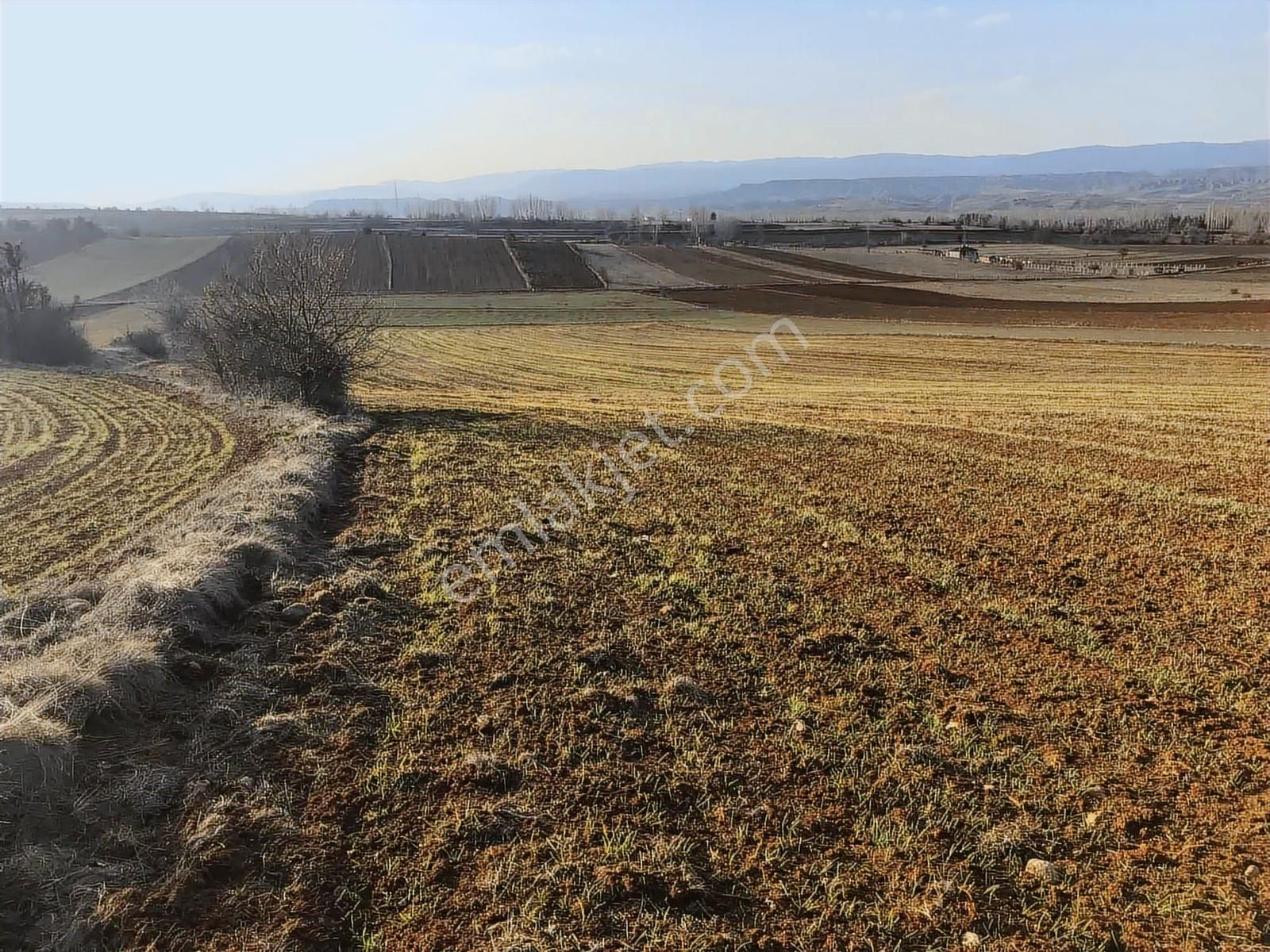 Kastamonu Merkez Gölköy Yola Cephe 4.786 M2 Tek Tapu Değerli - Görsel 17