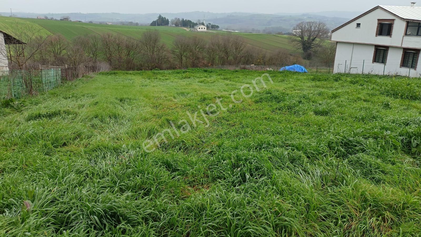 İstanbulun Arka Bahçesinde Köy Dibinde 2533 M3 - Görsel 13