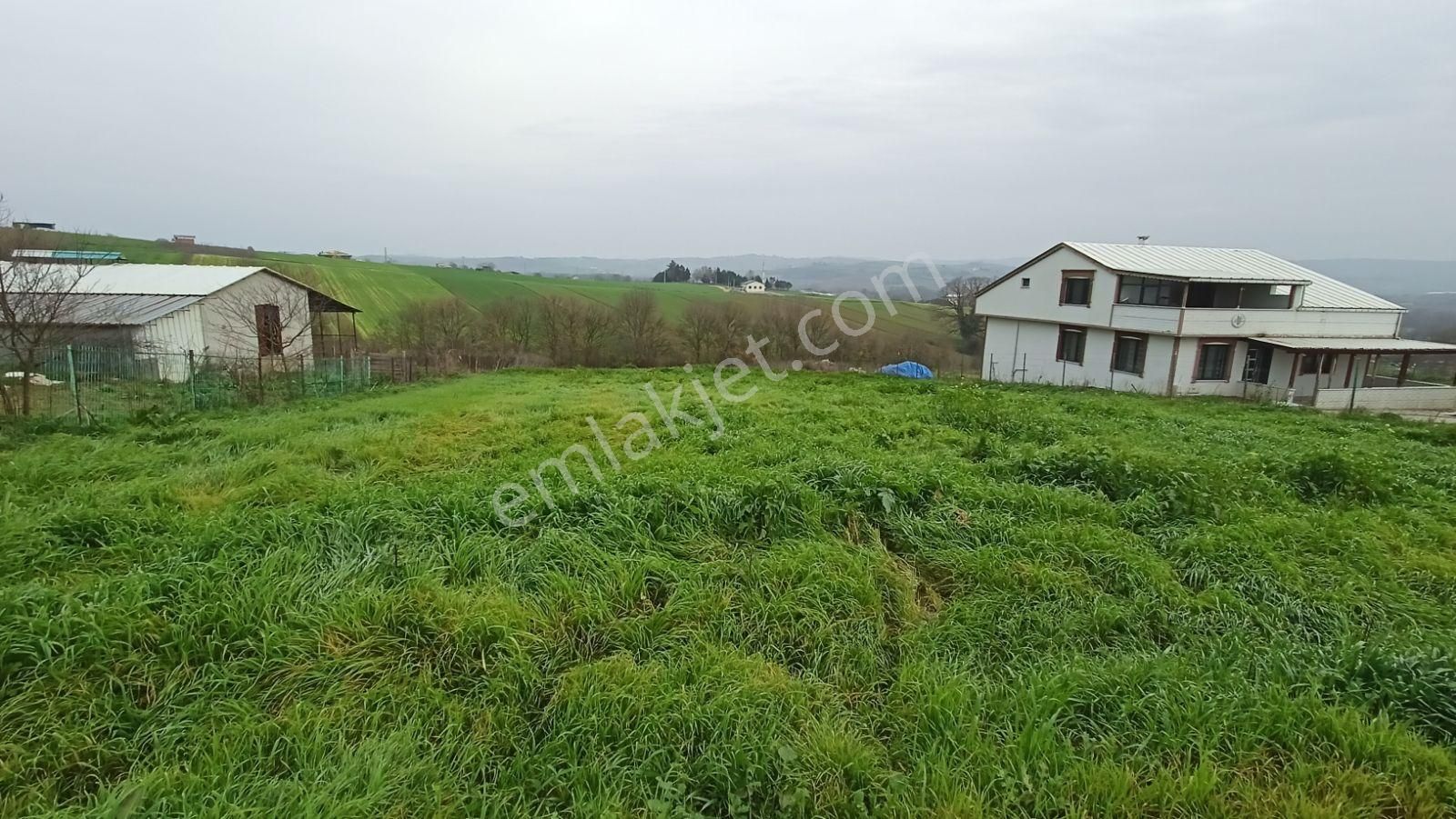 İstanbulun Arka Bahçesinde Köy Dibinde 2533 M3 - Görsel 4