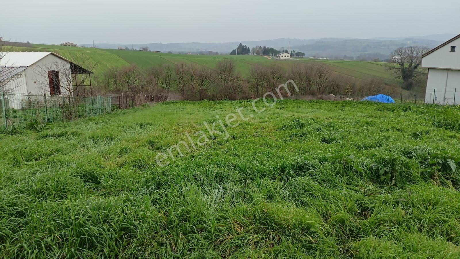 İstanbulun Arka Bahçesinde Köy Dibinde 2533 M3 - Görsel 26