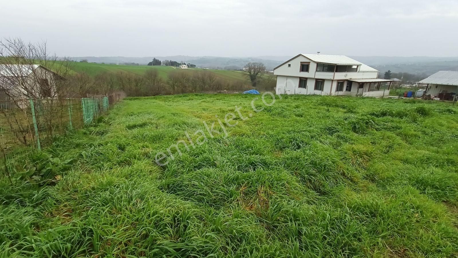İstanbulun Arka Bahçesinde Köy Dibinde 2533 M3 - Görsel 34