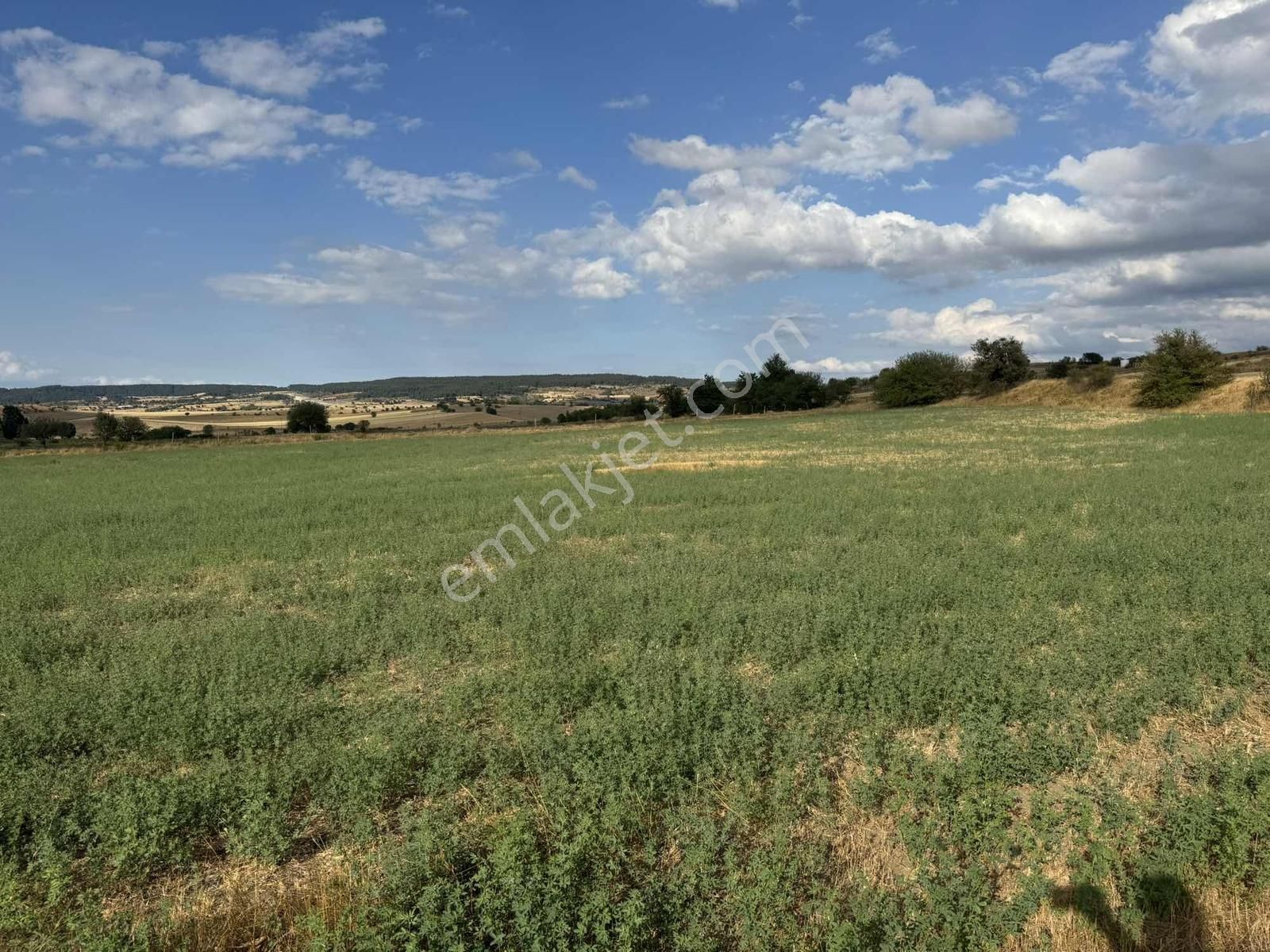 Kastamonu Merkez Şeyh Köyü 10.035 M2 Tek Tapu Fırsat Mülk - Görsel 34