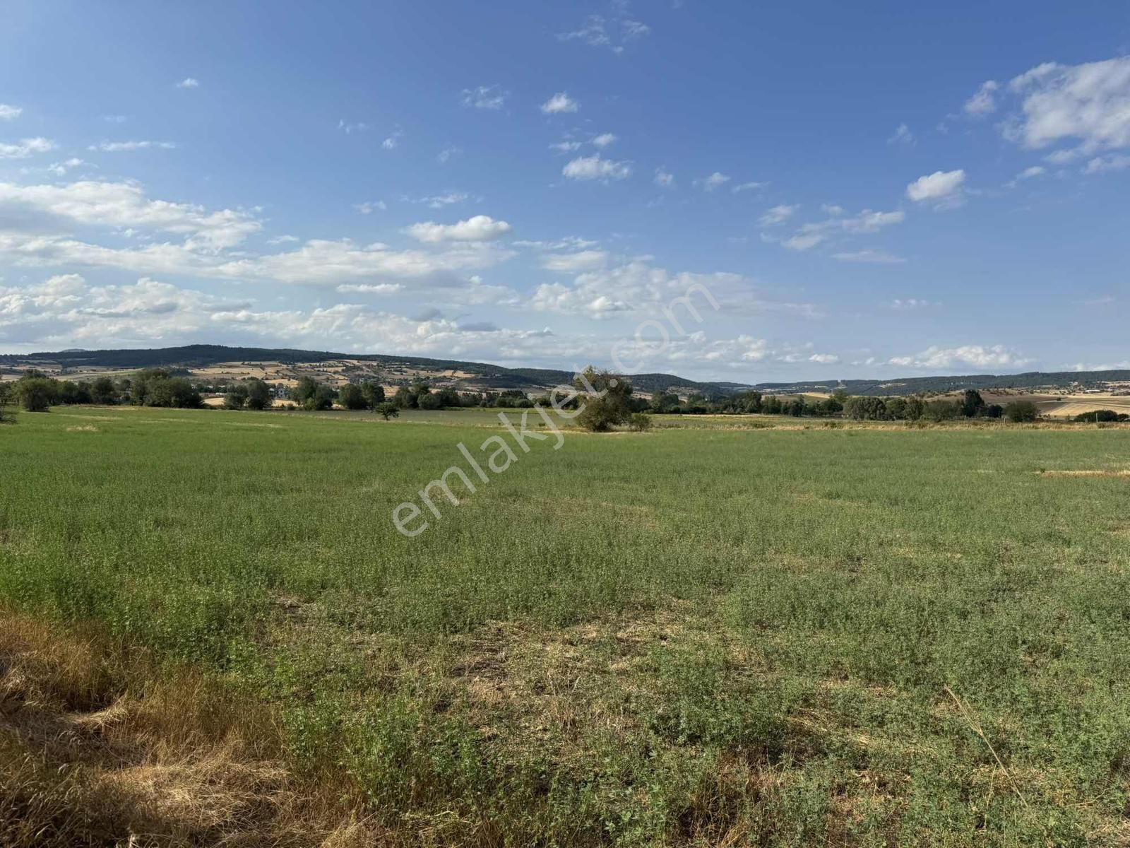 Kastamonu Merkez Şeyh Köyü 10.035 M2 Tek Tapu Fırsat Mülk - Görsel 24