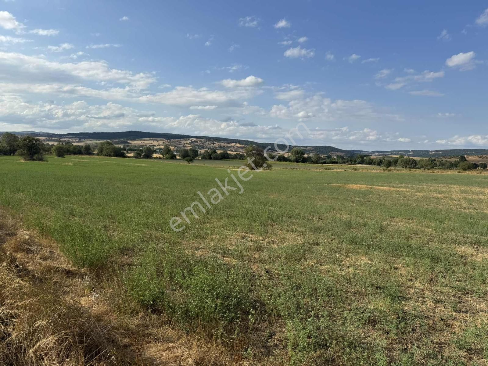 Kastamonu Merkez Şeyh Köyü 10.035 M2 Tek Tapu Fırsat Mülk - Görsel 15