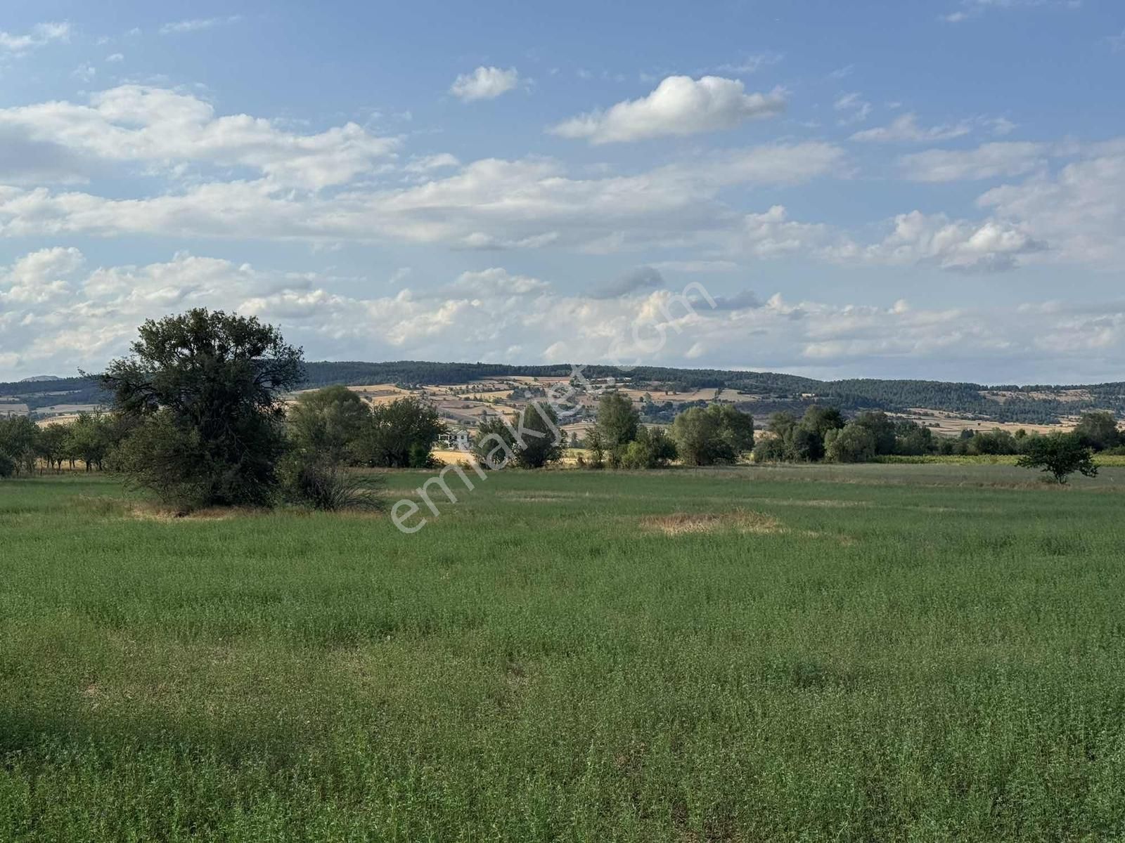 Kastamonu Merkez Şeyh Köyü 10.035 M2 Tek Tapu Fırsat Mülk - Görsel 7