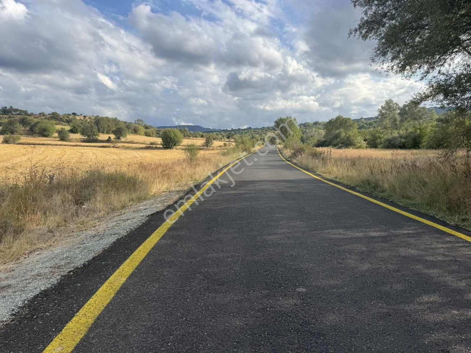 Kastamonu Merkez Şeyh Köyü 10.035 M2 Tek Tapu Fırsat Mülk - Görsel 29