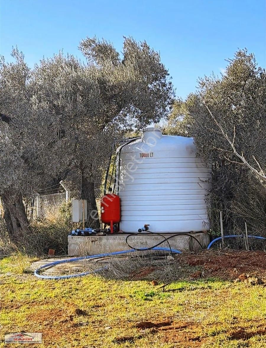 Safir'den Satılık Son Parseller Elektrik&su Aktif - Görsel 2