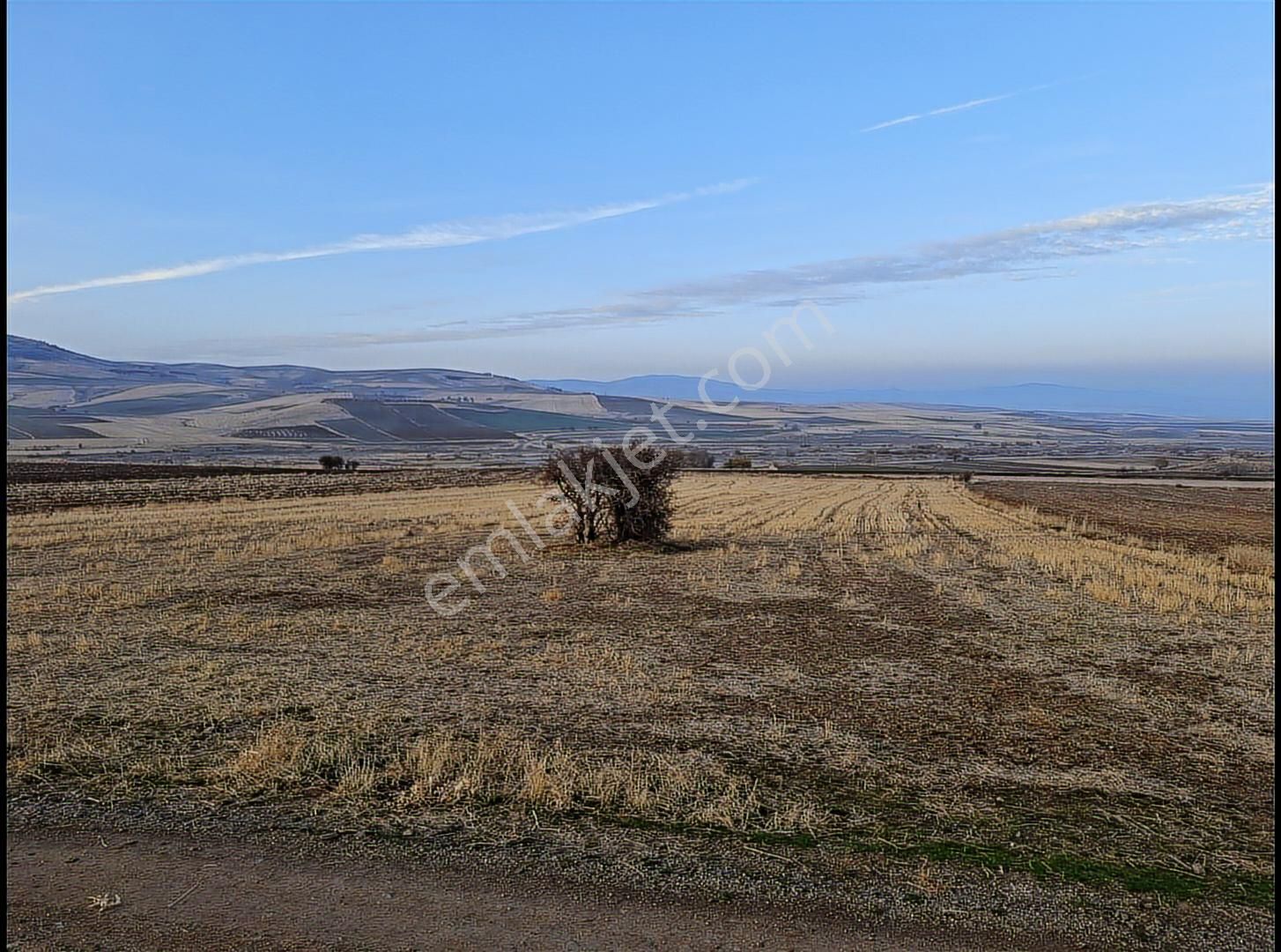 Dedepınarı(çulçapur) Da 7.591 M² Resmi Yollu Süper Yatırımlık - Görsel 2