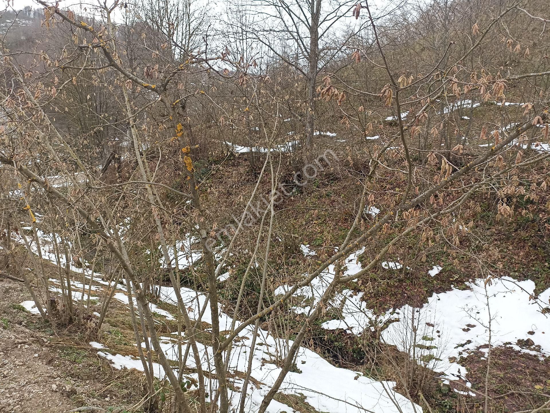 Yatırımlık Kafa Dinlemelik - Görsel 5