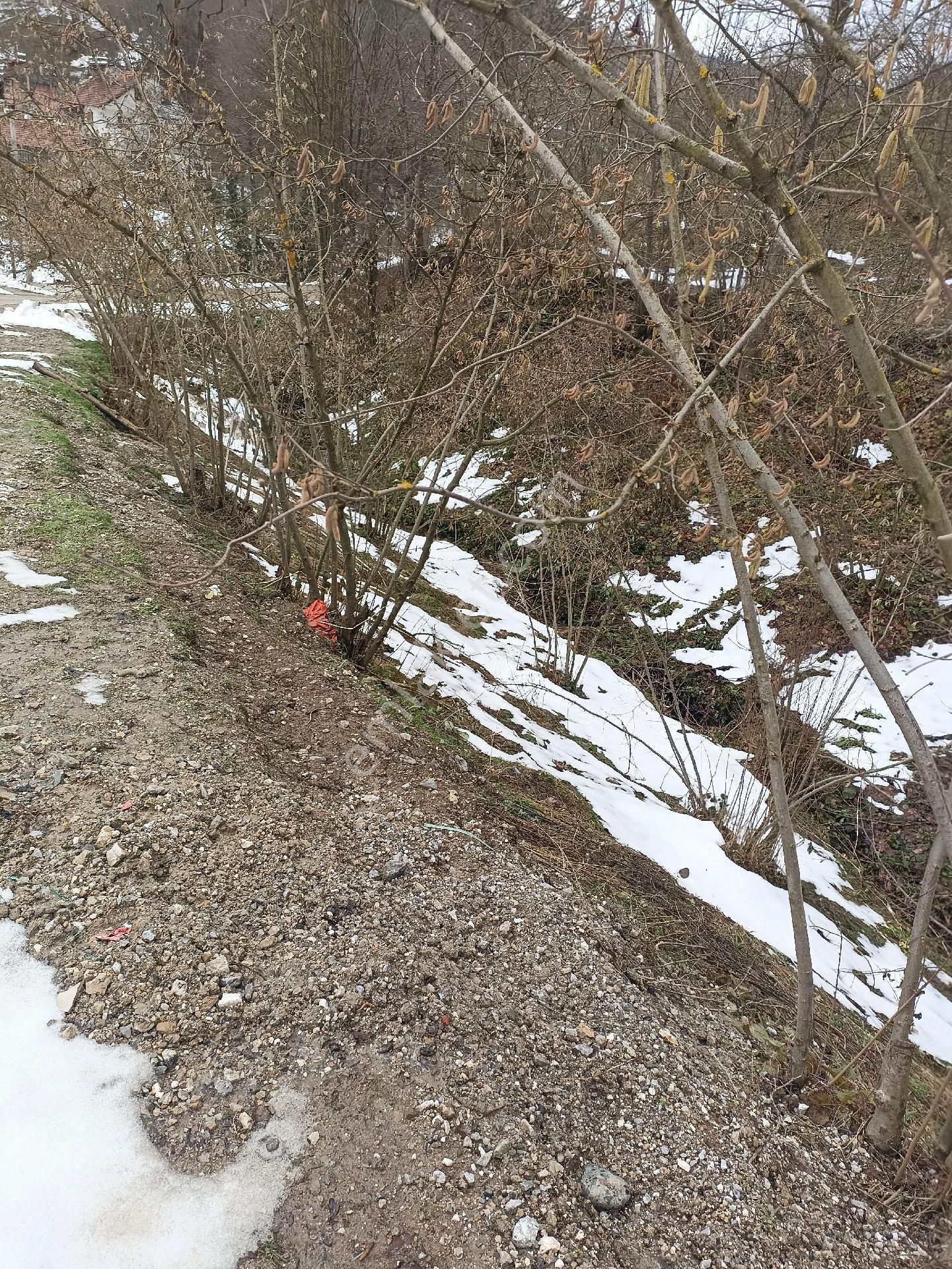 Yatırımlık Kafa Dinlemelik - Görsel 8