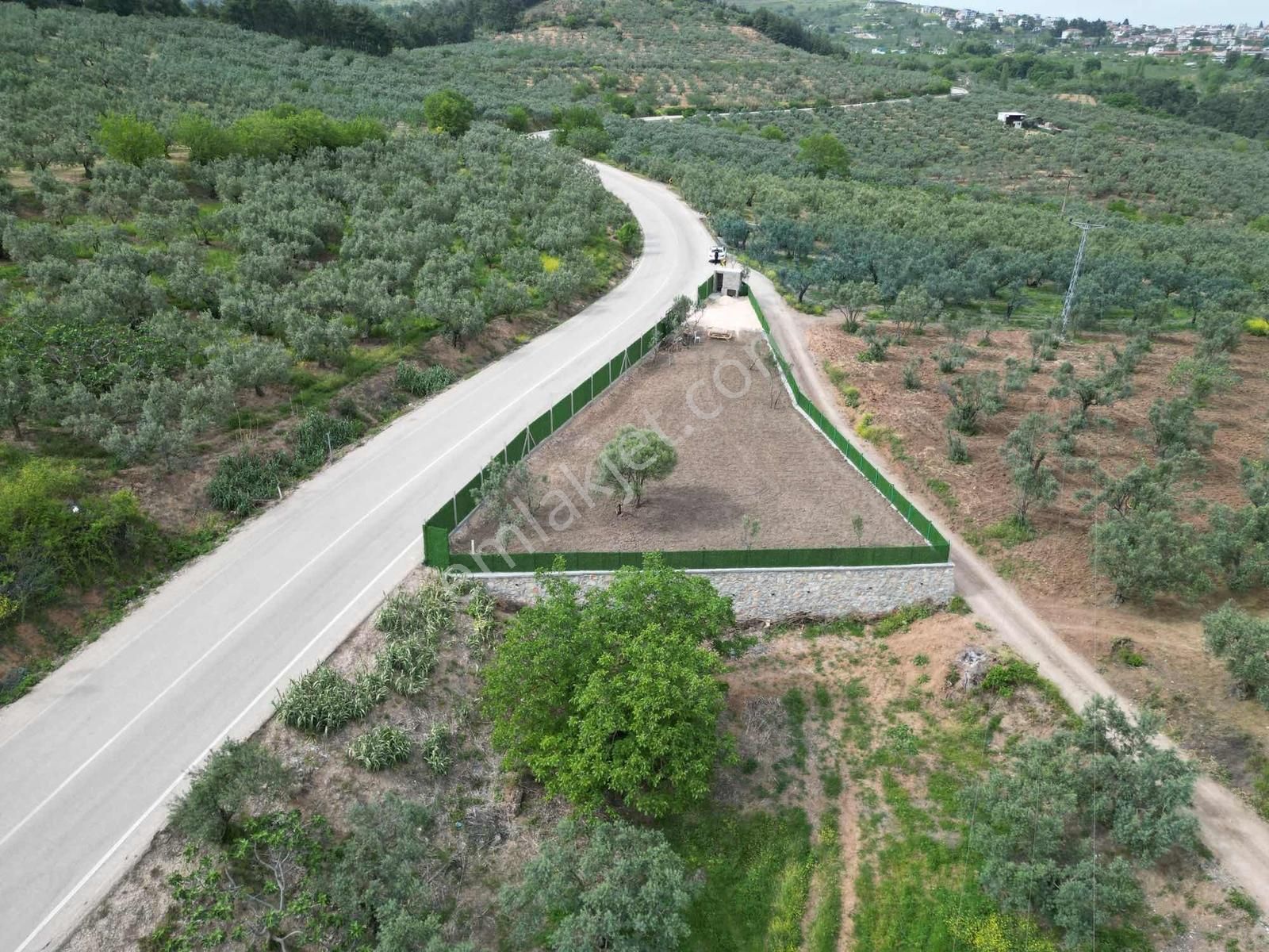 Gündoğduda Ana Asfalt'a Cephe Tek Parça Hobi Bahçesi - Görsel 2
