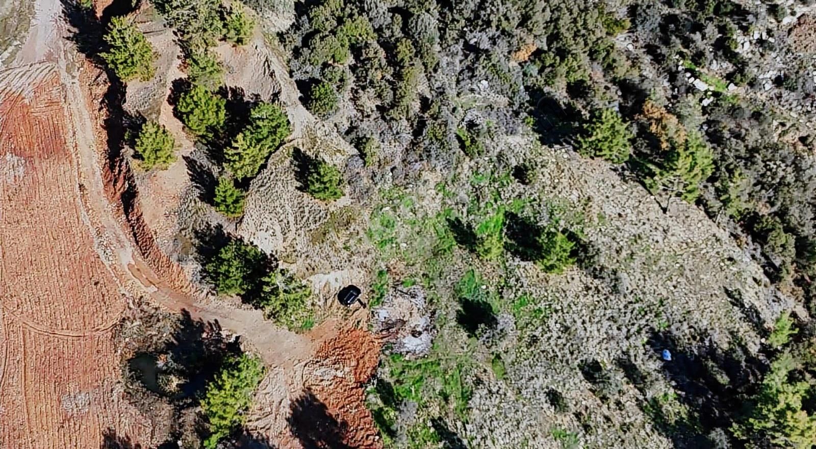 07 Truva Emlaktan Kumluca Deniz Manzaralı Tarla - Görsel 34