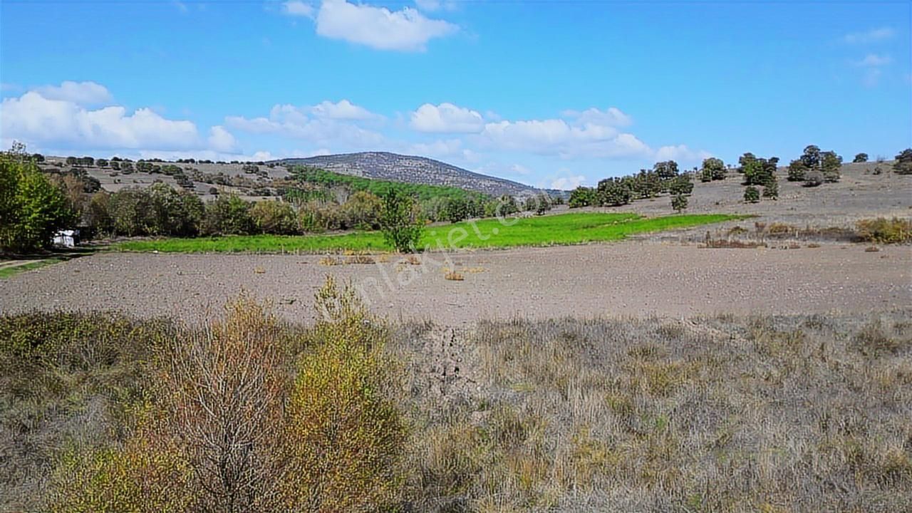 Onvet'ten Balıkesir Kocaavşar Baraja Yakın 4.617m² Satılık Tarla - Görsel 9