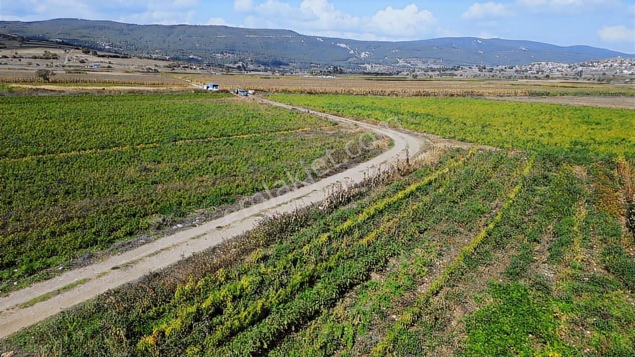 Onvest'ten Balıkesir Kocaavşar'da 8.580m² Satılık Tarla - Görsel 31