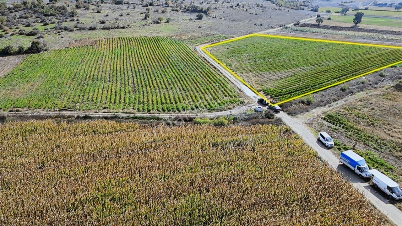 Onvest'ten Balıkesir Kocaavşar'da 8.580m² Satılık Tarla - Görsel 22