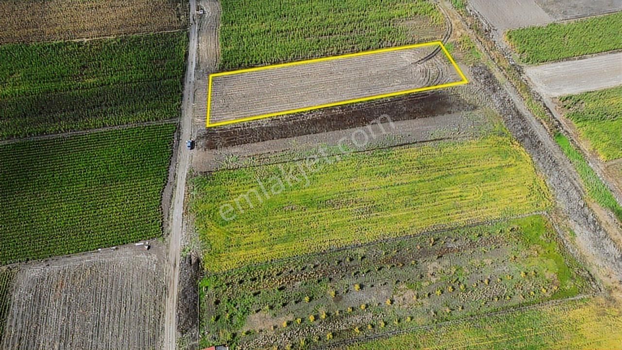 Onvest'ten Balıkesir Kocaavşar'da 3.146m² Satılık Tarla - Görsel 7