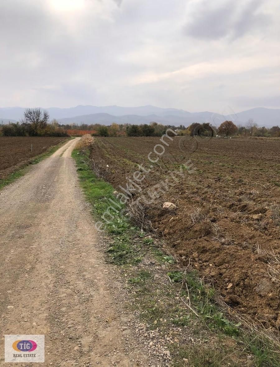 Yiğit Köyde Alsata Uygun Tarla - Görsel 2