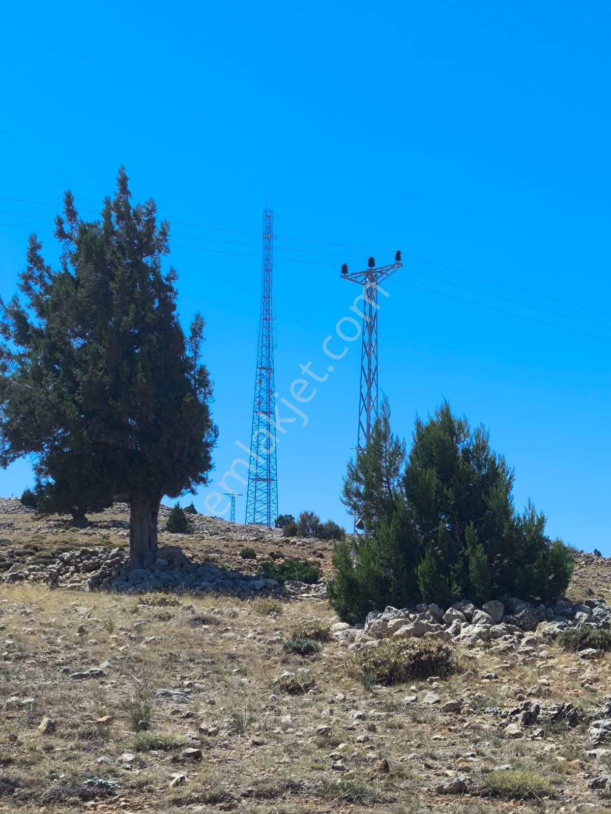 Köy Merkezine Çok Yakın, Resmi Kadastral Yolu Var, Etrafı Orman - Görsel 2