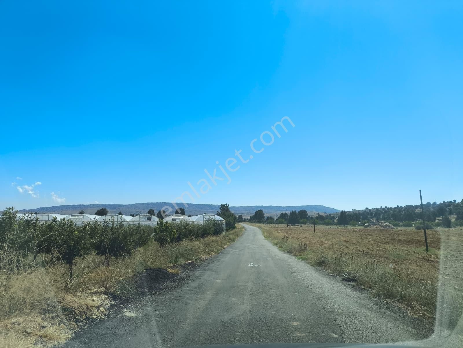 Köy Merkezine Çok Yakın, Resmi Kadastral Yolu Var, Etrafı Orman - Görsel 13