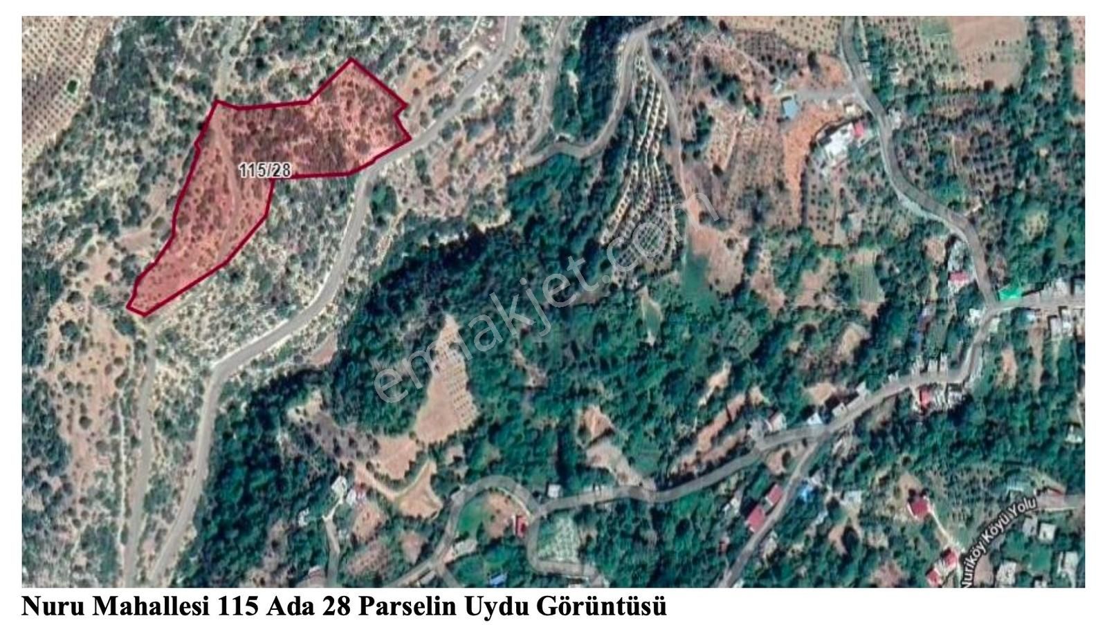 Silifkenin Köy Yerleşik Alanı İçinde Kalan En Ucuz Arazi