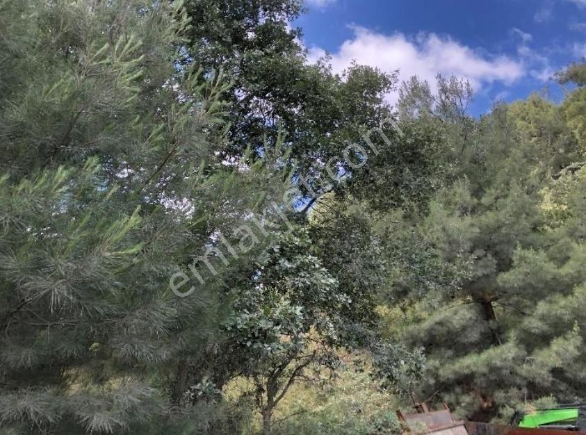 Hem Yola Hem Madenlere Yakın Düz Arazi - Görsel 4