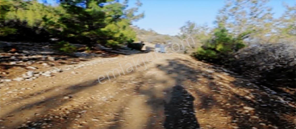 Silifke Nuru Mahallesinin Ve Çevresinin En Ucuz Tarlası