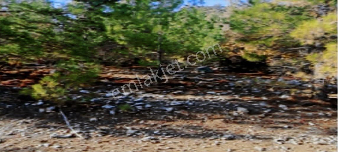 Silifke Nuru Mahallesinin Ve Çevresinin En Ucuz Tarlası - Görsel 2
