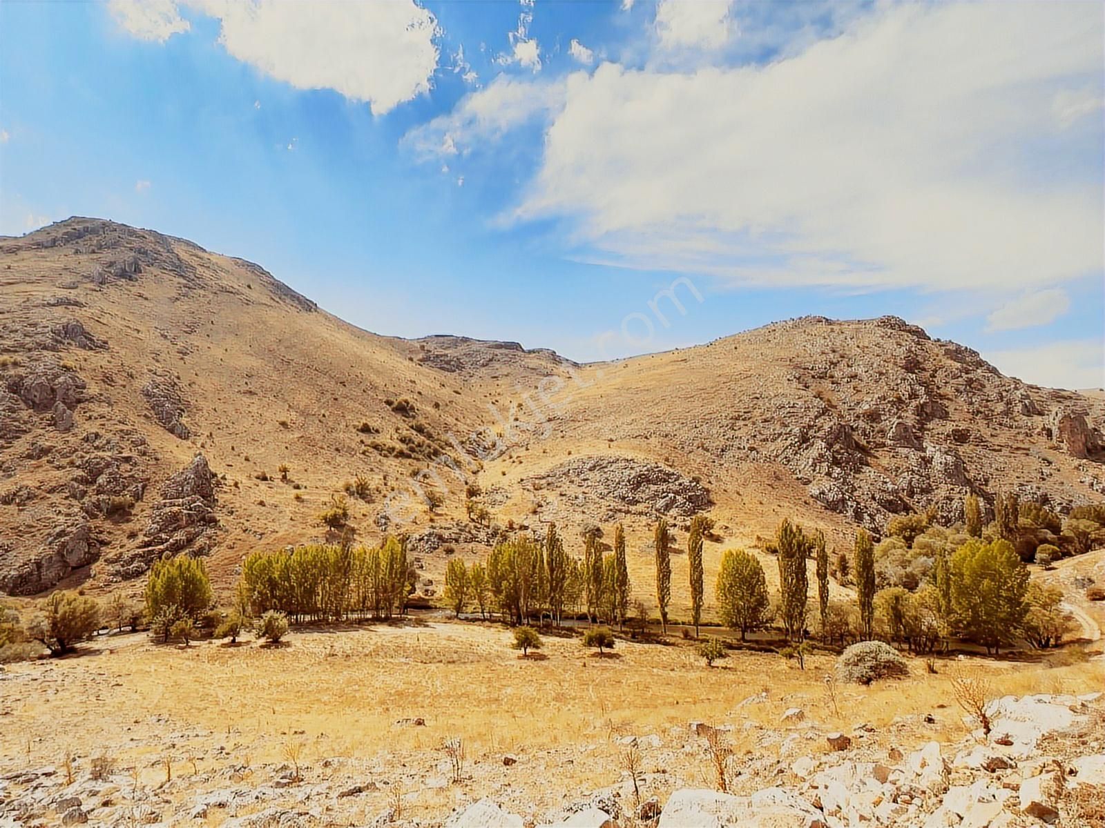 Kadastral Resmi Yolu Olan Tarım Ve Yetiştiriciliğe Uygun, Ucuz - Görsel 2
