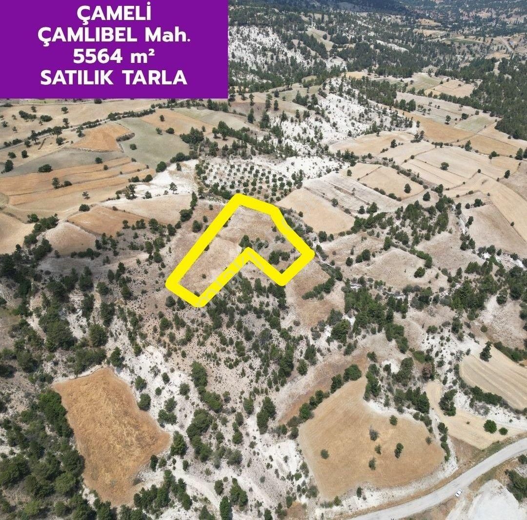 🦋lobby Fortis'ten Satılık Çameli Çamlıbel'de 5564 M² Resmi Yolu Olan Arazi🦋